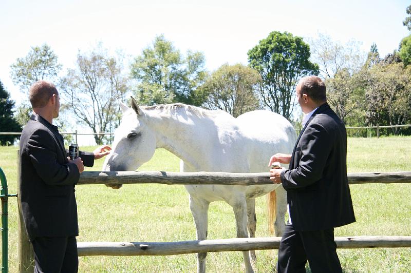 Johan & Liezel Wedding286.JPG